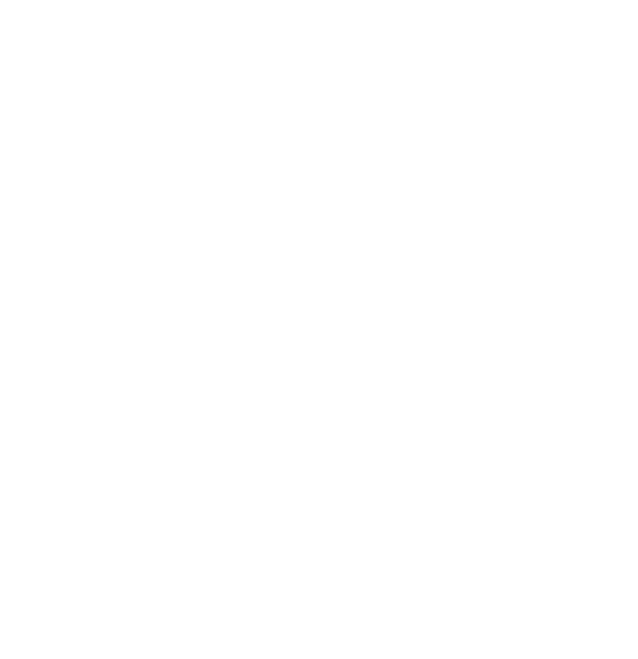 Screaming Eagle American Bar and Grill logo